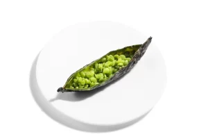 Albert Adrià_dish 4_@moitorne_food