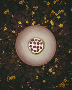 Hugo Roellinger_Dish 1_credit Romain Bassenne
