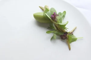 Antonia Klugmann_dish1