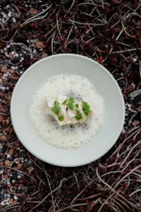 Daniel Hadida and Eric Robertson_Dish 1_credit Alex Creglia