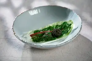 Ana_Roš_Dish 3_credit Ciril Jazbec