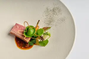 Christiaan Stoop_Dish 3_credit Marius Ionita