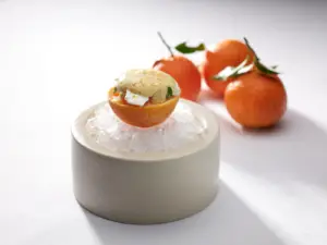 Clemens Rambichler_dish2