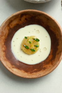 Debora Fadul_Dish 2_Diacà photography