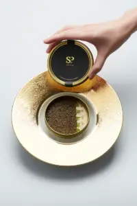 Emmanuel Stroobant _Dish 1_credit Saint Pierre