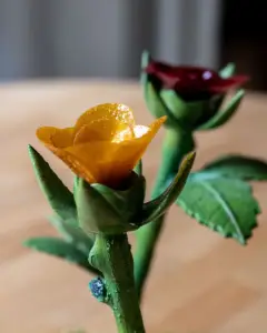 Floriano Pellegrino_dish2_credit pellegrino brothers