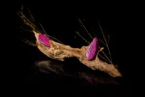Gaggan Anand_dish2