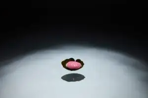 Gaggan Anand_dish3