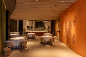 Himanshu Saini_restaurant photo_credit Shresth Maloo