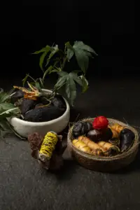 Jaime Pesaque_dish 3_credit Jessica Alva Piedra