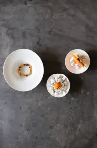 Jessica Rosval_Dish 1_credit Stefania Gambella