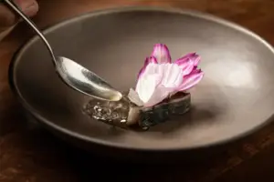 John Shields_Dish 1_© Galdophoto Smyth