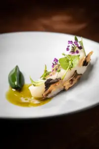 John Shields_Dish 2_© Galdophoto Smyth