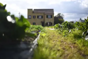 Kanji Kobayashi_exterior_credit Ikuko Mtatsumoto