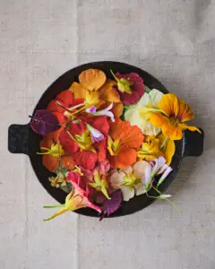 René Redzepi_Dish 3_credit Ditte Isager