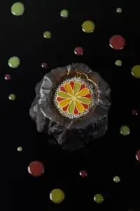 Sachin Poojay_Dish 5_© Matylda Grzelak