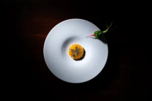 Ryogo Tahara_Dish1_credit JESTO & Shinichiro Fujii