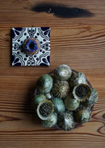 Sebastian Jimenez_dish3_credit Young Meerim