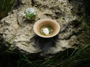 Simon Rogan_Dish 2_credit Cristian Barnett