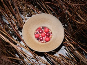 Simon Rogan_Dish 3_credit Cristian Barnett