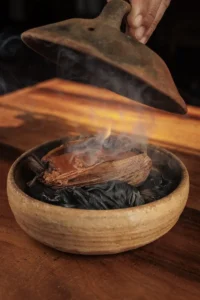 Thalia Barrios García_Dish 4_credit @orlandomadrid_photojpg