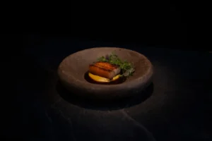 Nicolas Solanilla Leguizamón_Dish 1_credit