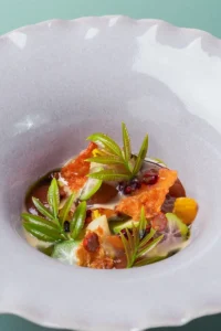 Eelke Plasmeijer & Ray Adriansyah_Dish 1 (2026)