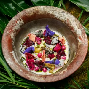 Eelke Plasmeijer & Ray Adriansyah_Dish 2 (2026)