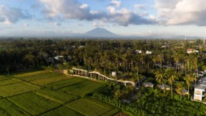 Eelke Plasmeijer & Ray Adriansyah_Locavore NXT from the Top 1 (2026)