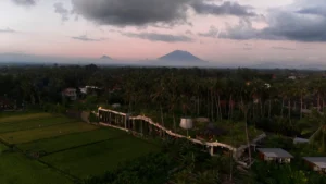 Eelke Plasmeijer & Ray Adriansyah_Locavore NXT from the Top 2 (2026)