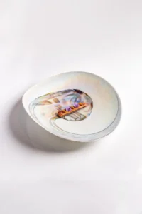 Himanshu Saini_Dish 1 (2026)_© Shresth Maloo