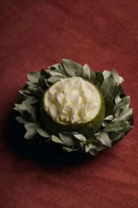 Jaime Rodriguez_Dish 14