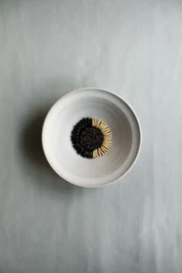 Nicolai Nørregaard_Dish 5 (2026)_© Soren Reed