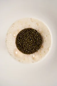Agustín Ferrando Balbi_Dish 1 (2026)_© Ando