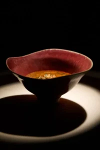 Agustín Ferrando Balbi_Dish 4 (2026)_© Ando